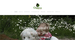 Desktop Screenshot of chippewaanimalclinic.com